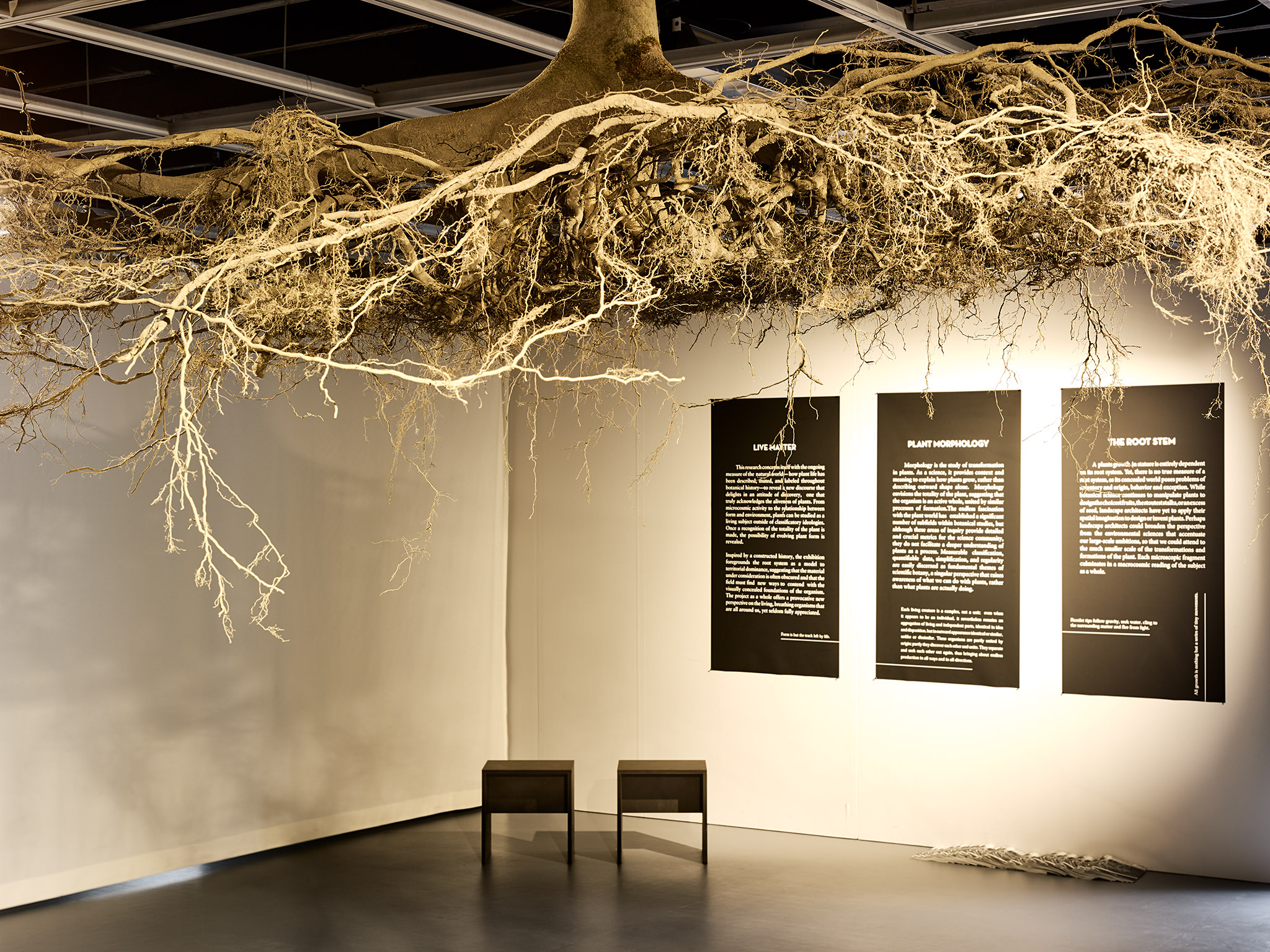 LIVE MATTER - Design Vegetal